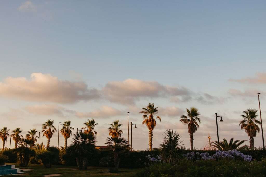 Boda en el Hotel Balneario Las Arenas