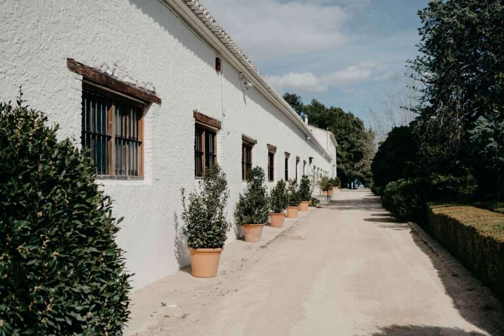 Boda en Mas de Anna