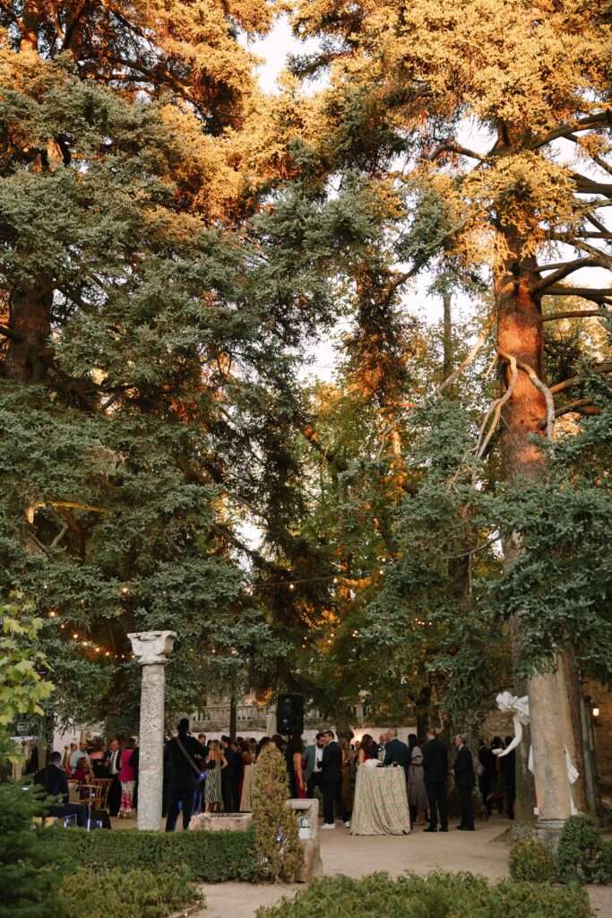 Boda en el Palacio Carlos III